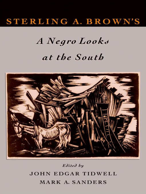 Title details for Sterling A. Brown's a Negro Looks at the South by John Edgar Tidwell - Available